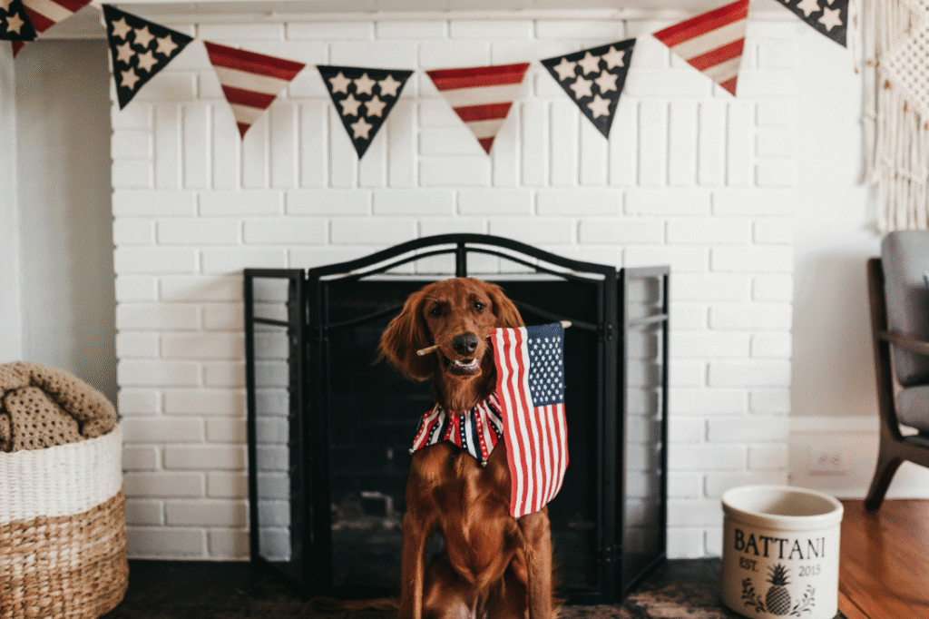 Even puppies can get involved with Fourth of July celebrations.