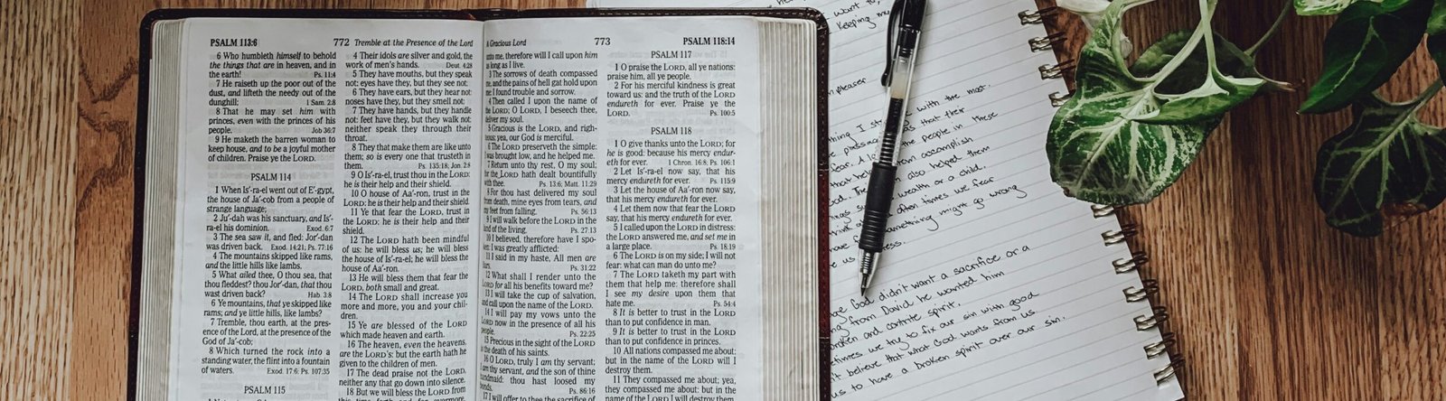 Spiritual habits of reading the bible and journaling